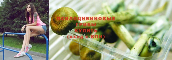 дурь Балахна