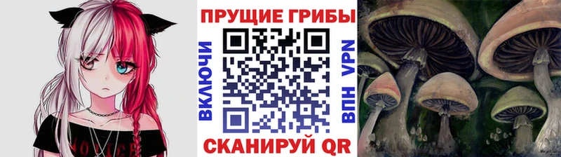 Галлюциногенные грибы мухоморы  Бронницы 